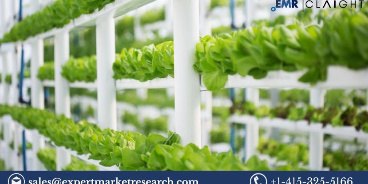 Vertical Farming Market Outlook (2025-2034): Growth, Trends, and Future Opportunities